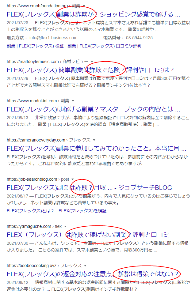 フレックス(Flex) 副業 口コミ評判