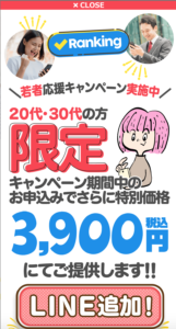 Ranking(ランキング) 副業 3,900円